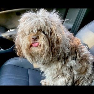 🌟 Make Your Offers 💫